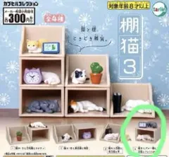 Item thumbnail for item bbf58311-b2af-48df-b868-0a52ba3265e0