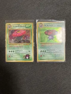 ラフレシア2枚セット