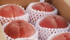 ☆7名様先着お値引き品☆【等級秀品です☆】もも４～５玉箱☆白鳳桃☆のサムネイル