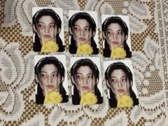 StrayKids KARMA FELIX トレカ SKZOO 6枚セット