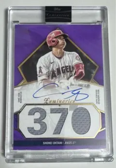 Item thumbnail for item af2b85c9-4b3b-476a-b87a-26ee3c45a072