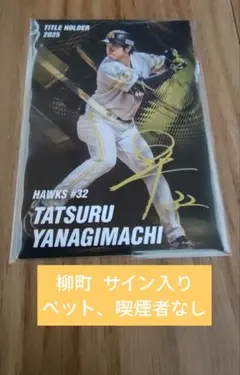 2026年最新】プロ野球チップスタイトルホルダーの人気アイテム - メルカリ
