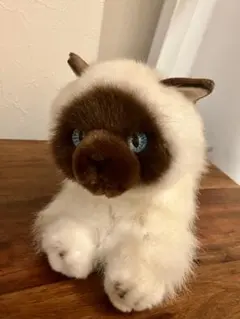 2026年最新】ヒマラヤン 猫の人気アイテム - メルカリ