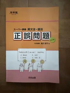 正誤問題 スーパー講義 英文法・語法