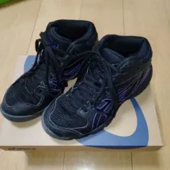 【maple様専用】ASICS ダンクショット MB9 バッシュ20.0cm