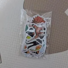 ハイキューキャラクター ステッカーセット(100)