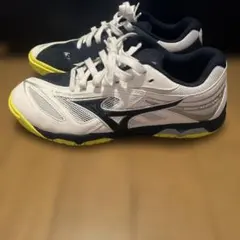 Item thumbnail for item de56fad0-d3a0-415d-898a-ec3709d26326