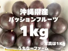 しわしわ食べごろパッションフルーツ沖縄県産 中玉〜大玉 10〜12個 