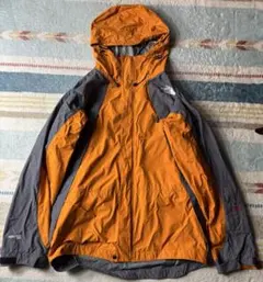 日本未入荷　美品THENORTHFACE マウンテンパーカー　ゴア　mens S THE NORTH FACE ノースフェイス マウンテンパーカー ECO GTX