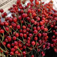 hao様 リクエスト 2点 まとめ商品