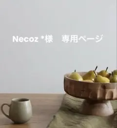 N e c o z *様 リクエスト 3点 まとめ商品
