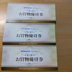 ヤマダ電機　株主優待券　15000円分　お買物優待券