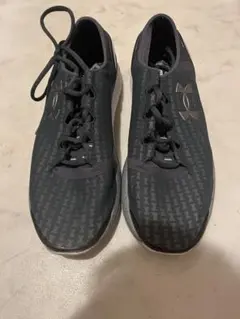 Item thumbnail for item 3f7c5d69-3a2a-4f19-95ff-0408d19ef836