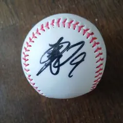 2026年最新】柳田悠岐 サインボールの人気アイテム - メルカリ