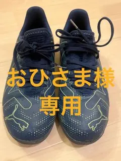 Item thumbnail for item ec105d21-ff56-46e0-be05-951fe0074899