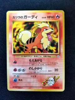 【旧裏】ポケモンカード　カツラのガーディ