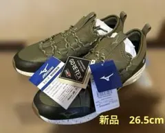 [ミズノ] ウォーキングシューズ ウエーブエボーク GTX ゴアテックス 防水のサムネイル