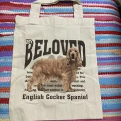 Item thumbnail for item 79d4f07e-86a0-40ba-b8d5-2b20311d5445