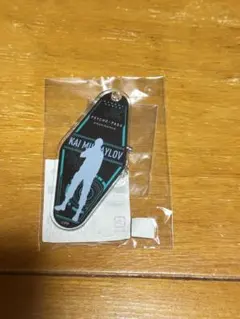 PSYCHO-PASS アクリルキーホルダー 煇 サイコパス 甲斐 ワシリー