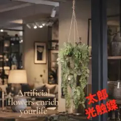 光触媒　観葉植物　ウォールグリーン　フェイクグリーン　フィットニアハンギング@のサムネイル