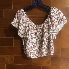 Item thumbnail for item b5dae73b-833e-4bdc-bd2f-7c73cf746599