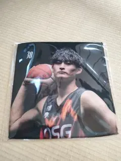 Item thumbnail for item 8dc21cf1-1a04-4f9e-a0b9-7eb5bc9bc3ae