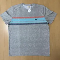 Hollister ボーダーTシャツ グレー XL 未使用