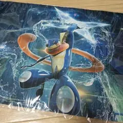 m*i様 【公式/海外限定】ゲッコウガ CHAMPION チャンピオン プレイマ