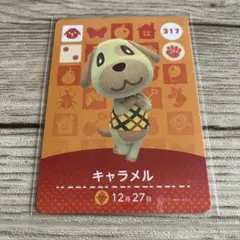 あつまれどうぶつの森 amiiboカード キャラメル 317