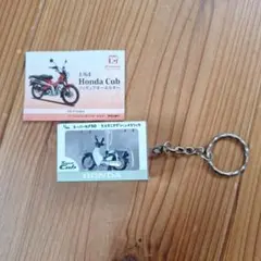 1/64 HONDA Cub キーホルダー スーパーカブ50 タスマニアグリーン
