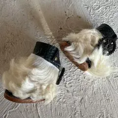 Item thumbnail for item 55bf176a-0801-41a1-9752-e06cfa9ec3bf