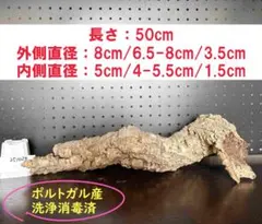 2025年最新】コルク樹皮 キャノンの人気アイテム - メルカリ