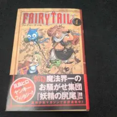 2026年最新】フェアリーテイル 1巻 初版の人気アイテム - メルカリ