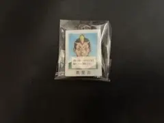 斉木楠雄のΨ難 燃堂力 アクリルキーホルダー ガチャガチャ