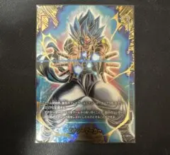 フュージョンワールド エナジーマーカー パラレル