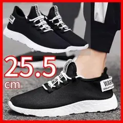 Item thumbnail for item 298721bd-a9a9-4867-b808-1b554665a836