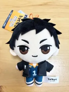 2026年最新】澤村大地 ぬいぐるみの人気アイテム - メルカリ