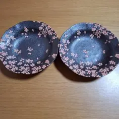 Aito 夜千代 ペアカレー皿 2枚セット
