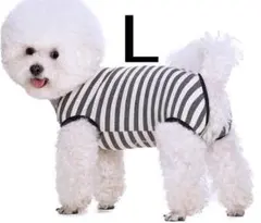 Item thumbnail for item ea4cb9ae-f937-4924-9f2e-bedb89736ac8