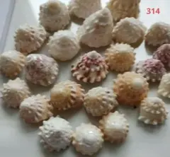 Item thumbnail for item d46e3eaa-6148-46eb-ba6d-78fb6d307cd4