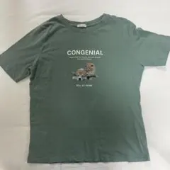 CINEMA CLUB アニマルプリント 半袖Tシャツ くすみグリーン