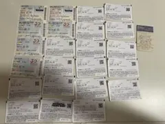 東京ディズニーランド・ディズニーシー パスポート複数枚