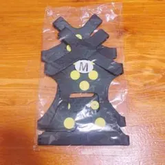 Item thumbnail for item e7cc9d81-34cd-4bdb-a730-ec99e0bc6f50