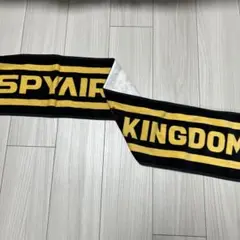 2025年最新】spyair タオルの人気アイテム - メルカリ