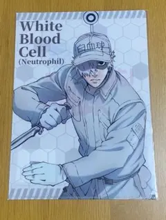 クリアファイル キャラクターグッズ