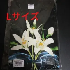 Item thumbnail for item f58277f4-2d30-432a-ae97-ab981c2355a9