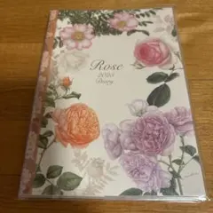 Item thumbnail for item 3142524b-a09e-4cdb-96d1-c28cfc39ba4e