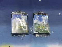 PlayStation ゲームパッケージミニチュアチャーム　みんなのゴルフ3