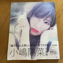 小嶋陽菜 こじはる 写真集 どうする？