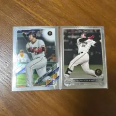 Item thumbnail for item 557a6c12-dfab-4331-bb5d-90abe12ba6a1